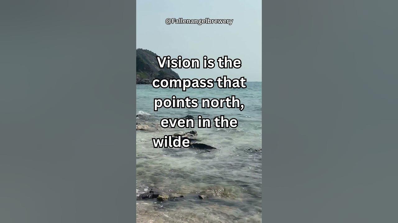 Vision is the compass that points north even in the wilderness of