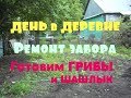 Живём на пенсии в деревне ! Участок -  Делаем ремонт забора. Наш ужин: грибы и шашлык