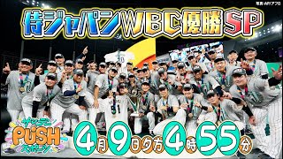 【即発送赤字】WBC2023 優勝&大谷MVPセット WBC2023 Japan優勝記念キャップ