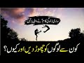Best quotes about life in urdu  hazrat ali quotes  malik zeeshan urdu point