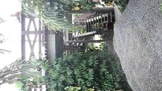 Le Parkour Roraima-Pkrr