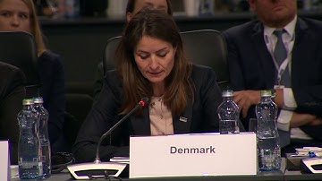 #OSCEMC19 Second Plenary Session: Denmark