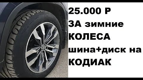 Варианты зимних шин для Шкоды Кодиак (ŠKODA KODIAQ)