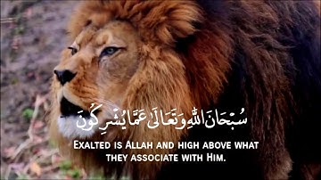 وربك يخلق ما يشاء ويختار    سورة القصص الايه 68
