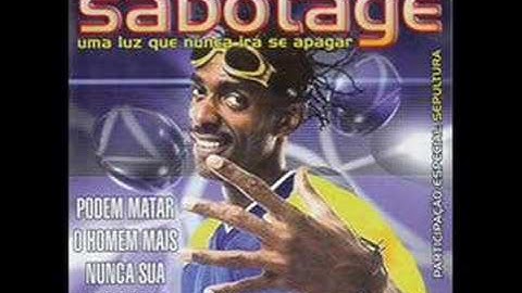 Vira lata s/a - Sabotage e Di Função