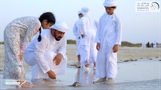 برعاية وحضور حمدان بن زايد .. ( بيئة أبوظبي ) تنقذ وتطلق مجموعة من السلاحف البحرية بعد إعادة تأهيلها