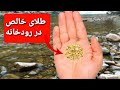 چطور در رودخانه طلا استخراج کنیم در ایران پیدا کردن طلا فقط با وسایل خانگی 