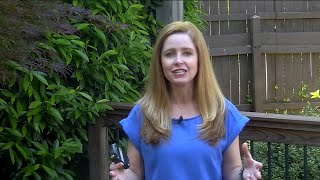 10About Town Weather: Sevierville