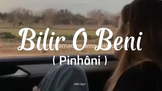 Bu gün aramadım ama bilir o beni Pinhani - bilir o beni (lyrics sözleri) Resimi