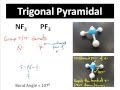 Molecular Shapes Quiz