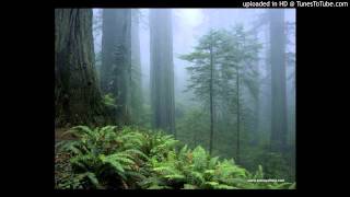 jonwayne - asbestos shellshock
