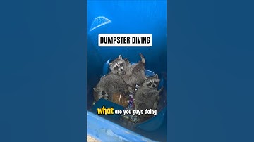 I thought my wife was messing with me! Happy birthday to me! Can these get out alone #dumpsterdiving