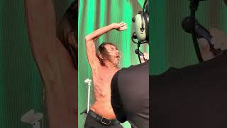 👕🔥 Red Hot Chili Peppers ft. Iggy Pop – Legacy with no expiration date. #iggyPop