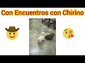 El do chichn y pelotasuscribete a encuentros con chirinobendiciones amn