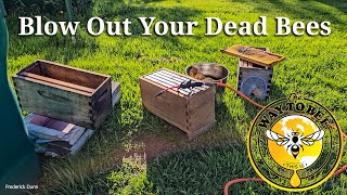 Remove Dead Bees From Honey Comb with LP Air, Beekeeping Quick Tip, DeadOut cleanup.