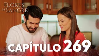Flores De Sangre Capítulo 269 Kan Cicekleri Subtítulos En Español
