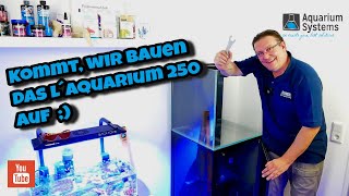 Kommt, wir bauen das L´Aquarium 250 auf #AquariumSystems Meerwasser Aquarium