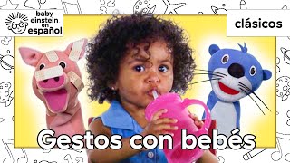 Ver Y Hacer Gestos Con Bebés Clásicos De Baby Einstein