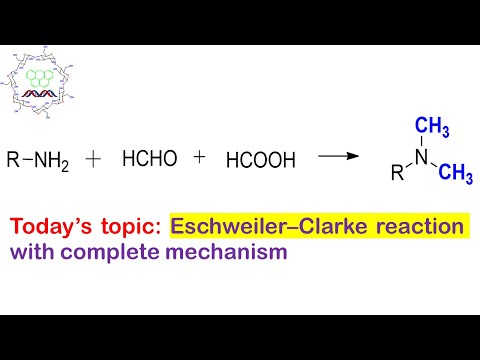 Eschweiler–Clarke reaction: Methylation on amines.