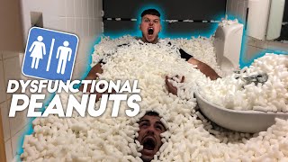 My bro has DYSFUNCTIONAL PEANUTS PRANK