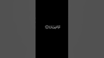 سورة عبس - فهد عبدالعزيز
