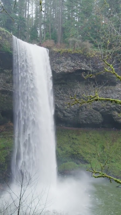 waterffol video nice video in #amzing videos # nice waterffol
