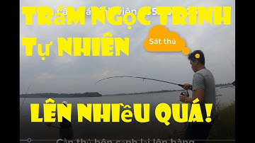 Nhật ký câu cá 10 - Lăng xê giật cháy lông nách OFF CLB câu cá sông tại hồ suối hai - Phần kết
