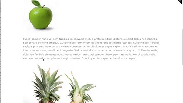 Pro Blogger : Image Captions for your Shopify Blog