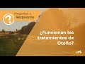 ¿Funcionan los Tratamientos de Otoño?