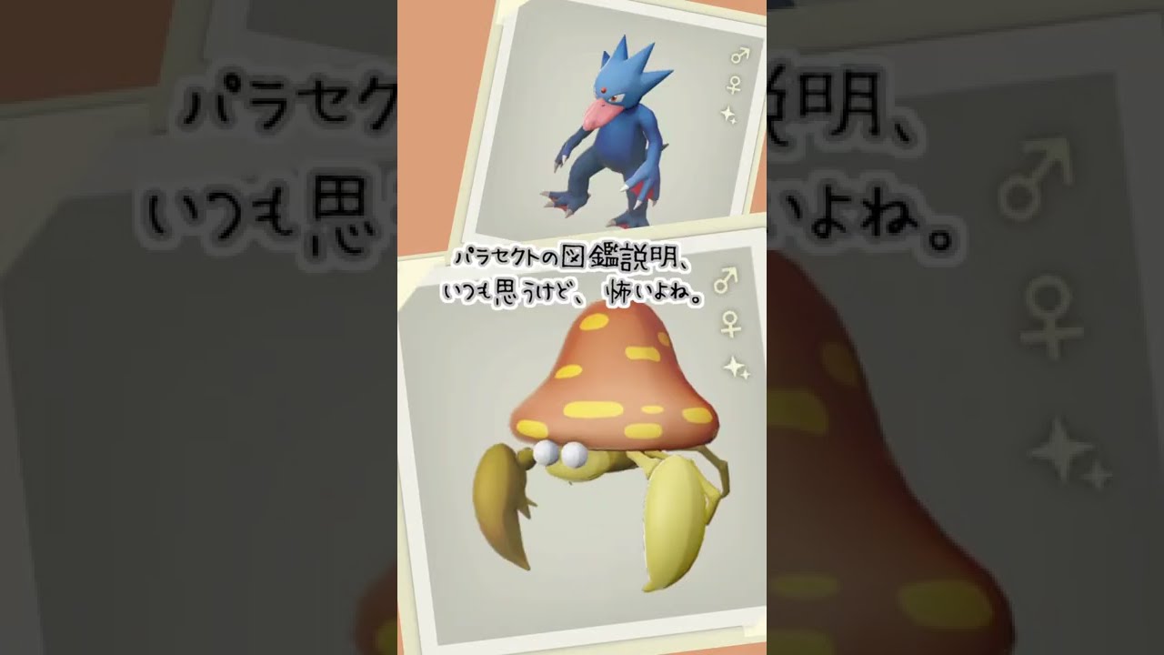 53 224 今日はかぶりの日なんだ きっと Pokemon Legends アルセウス Shorts Youtube