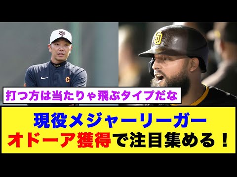 【巨人】現役メジャーリーガー、オドーア獲得で注目集める！！【プロ野球反応集】#プロ野球 #巨人 #新外国人