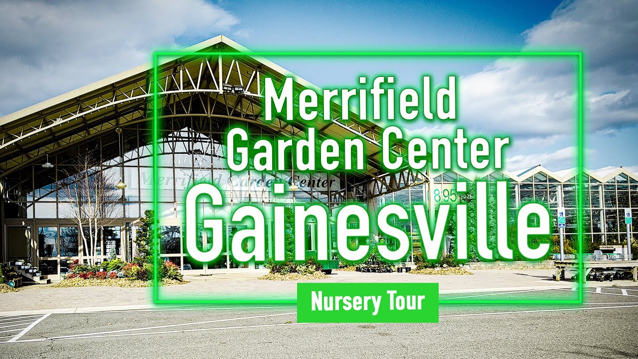 Huge Nursery Tour Must Watch Merrifield Garden Center