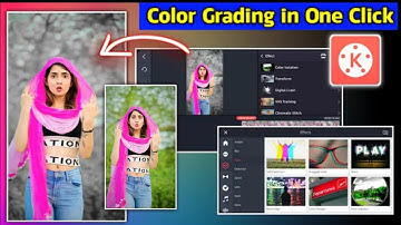 1 Click & Video Color Change | Colour Grading Video Editing in Kinemaster | Kinemaster Video Editing