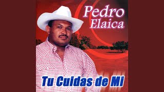 Video thumbnail of "Pedro Elaica - Ayer"