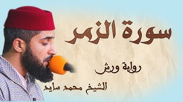سورة الزمر | تلاوة هادئة ومتقنة للشيخ محمد سايد | برواية ورش