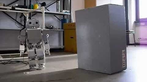 3D Camera Based Collision Avoidance for the HOAP2