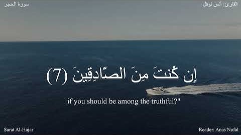 وقالوا ياأيها الذي - الحجر (6-9) -  القارئ أنس نوفل #دقيقة_لقرآنك