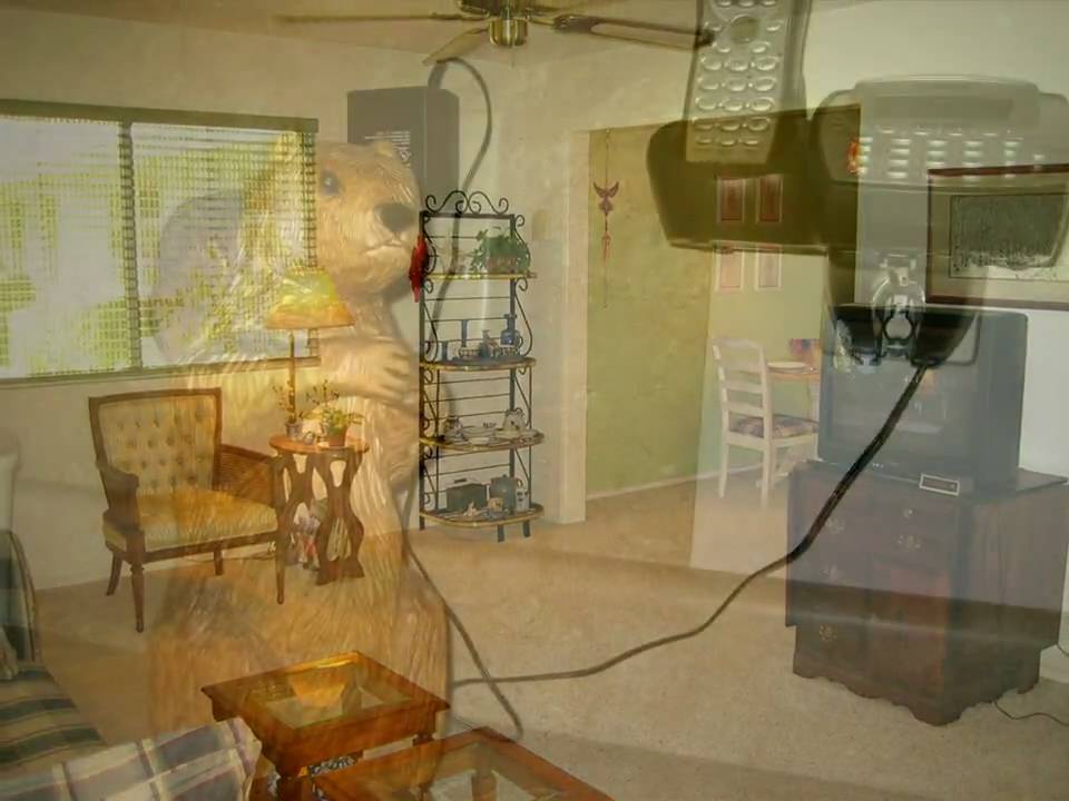 Duplexes For Sale in Sun City, Arizona. Sun City Duplexes For Sale. Ken