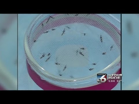 West Nile concerns in Canyon County