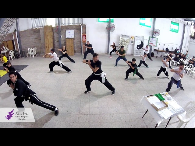 Forma de Wushu 16 movimientos Chan Chuen