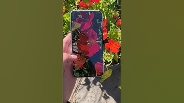 Poco F7 Camera Test (Better than iPhone 16) @xiaomi #smartphone #photography #poco #pocof7