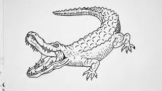 The Angry Crocodile Awakens! 🐊 Step-by-Step Drawing Tutorial for Beginners !!