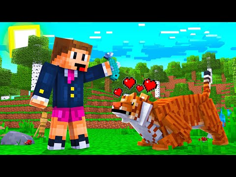 Vídeo: Como Domesticar Animais No Minecraft: O Zoológico Doméstico Do Jogador