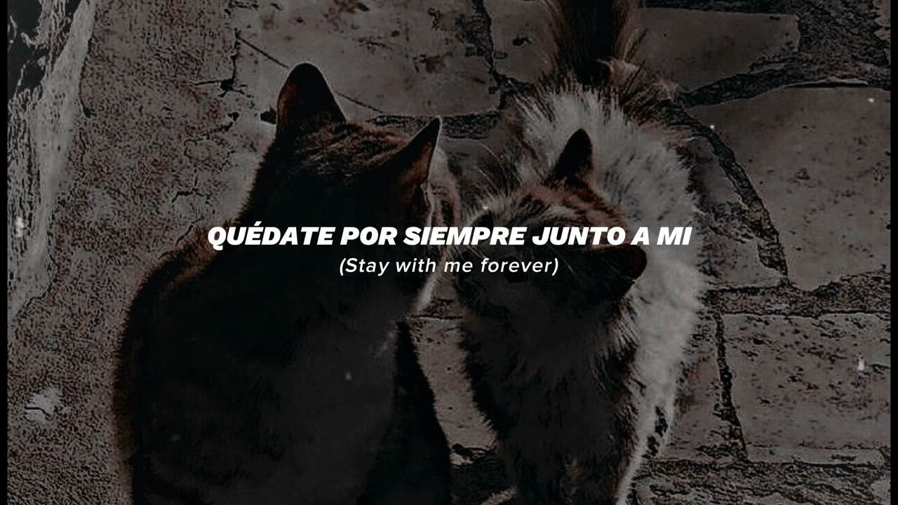 Américo - El Embrujo [Letra]