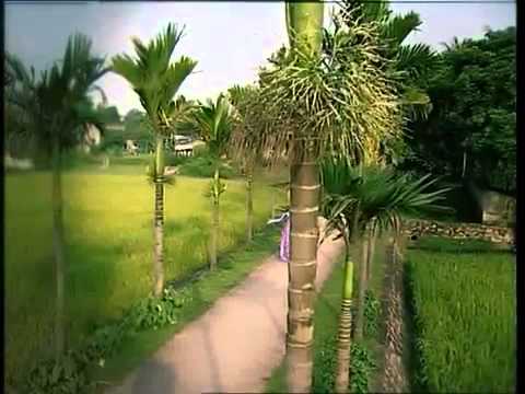 Video Quê Hương - Ca sĩ Phạm Phương Thảo - youtube