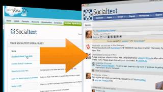 Salesforce.com Integration With Socialtext