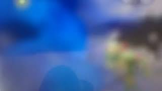 IMG 0286