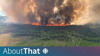 How are the Alberta wildfires impacting the election? | About That
