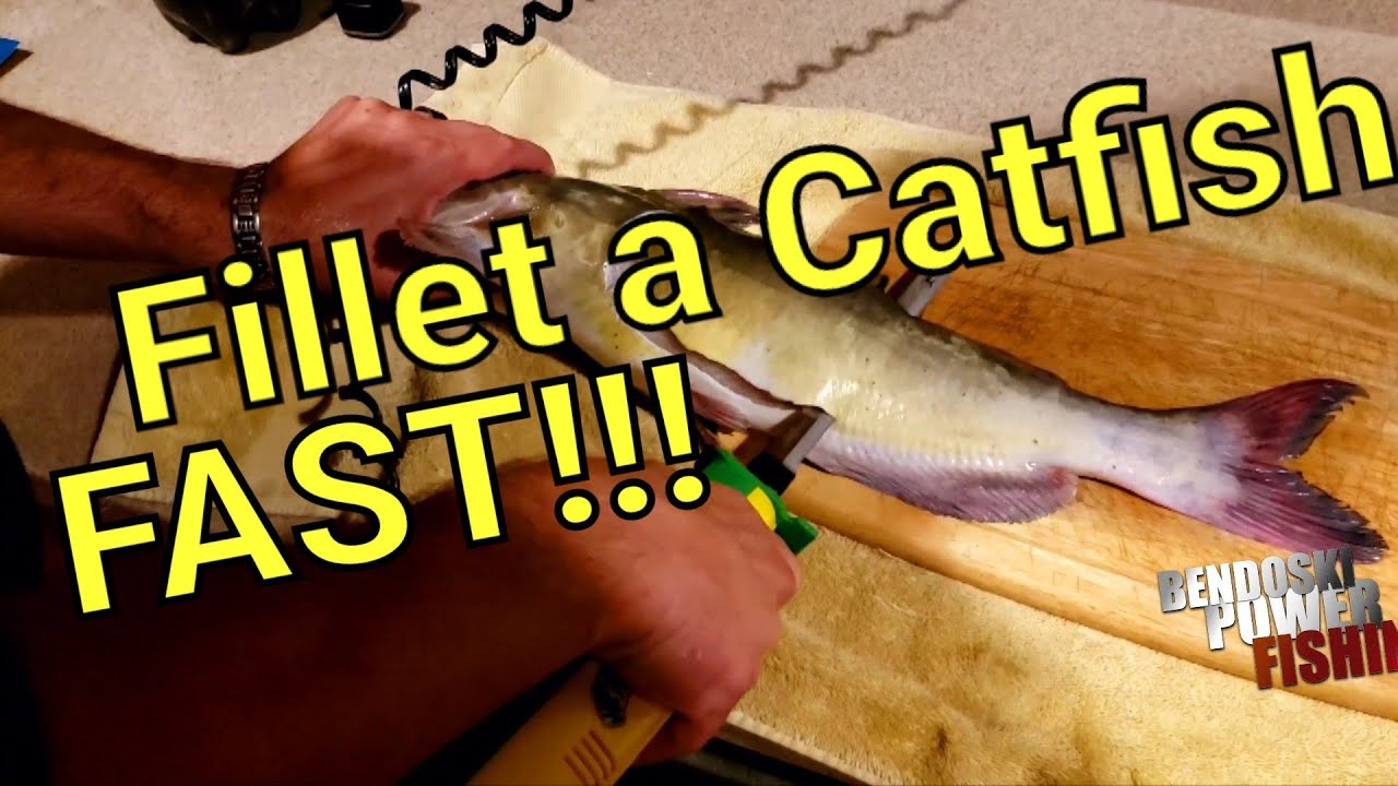 Fillet catfish fast!!!! YouTube
