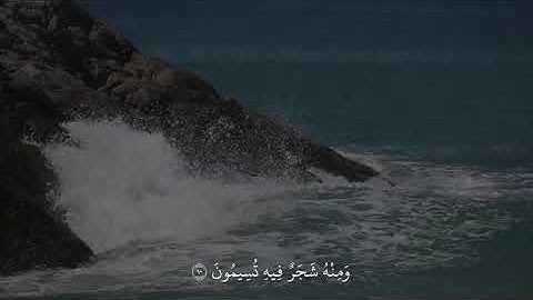 القارئ ياسر الدوسري //وهو الذي انزل من السماء ماء لكم منه شرَب